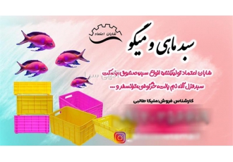 فروش جعبه ۴۰ کیلویی ماهی با قیمت باور نکردنی در شریف آباد فروش سبد حمل