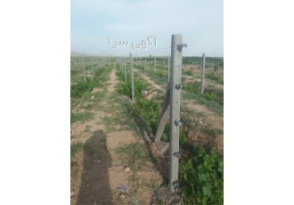 خرید و نصب داربست انگور