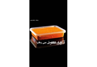 تولید کننده ظرف چهار گوش ۴۸۰ سی سی در پرند ظرف چهار گوش با ظرفیت 480