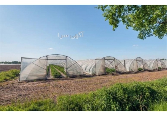 ساخت و نصب گلخانه