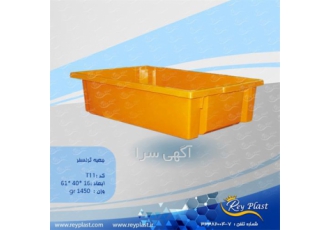 سبد خرگوشی