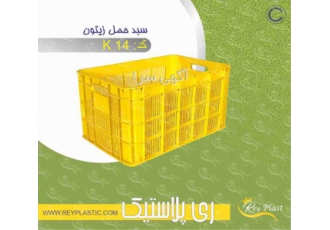 سبد بسته بندی زیتون