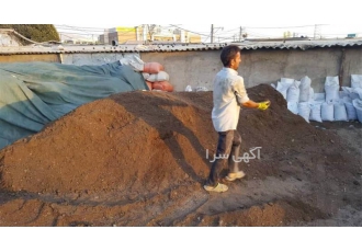 کود گاوی پوسیده فروش عمده