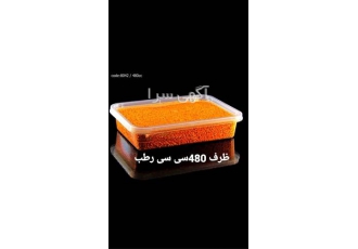 تولید کننده ظرف ۴گوش ۵۰۰ سی سی در پرند ظرف چهار گوش با ظرفیت 500 میلی
