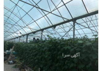 نمایندگی ورق های پلی کربنات پشم شیشه فایبر گلاس در خمینی شهر شرکت