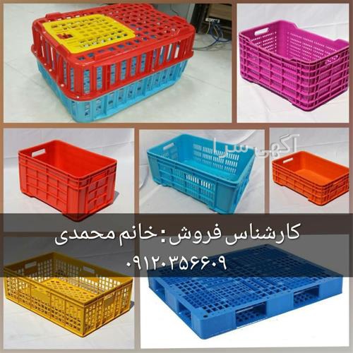 آگهی های خدمات بسته بندی - بندر دیر