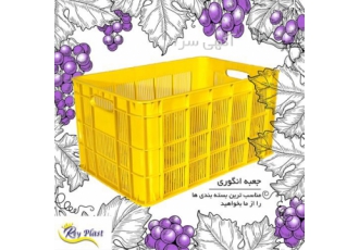 فروش سبد انگور