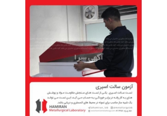 آزمون سالت اسپری