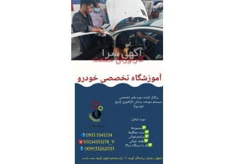 آموزش تخصصی دوره های مالتی پلکس خودرو