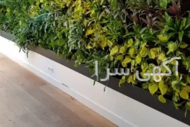 آگهی های تزئینات - شیراز