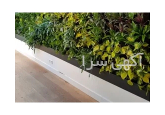 گرین وال طبیعی و مصنوعی در شیراز دیوار سبز یا گرین وال بخشی از طراحی