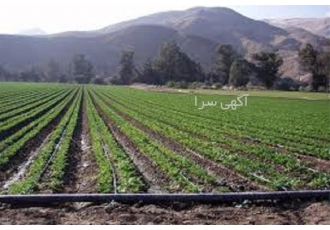 فروش شرکت ؛ شرکت رتبه ۵ کشاورزی در ساری شرکت رتبه 5 کشاورزی آماده ی