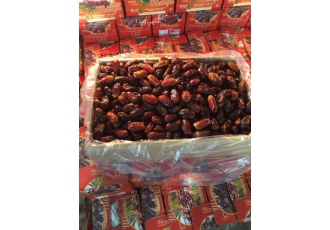 بسته بندی و صادرات خرما(شرکت مهرگان خرما بیش از 1200 تن خرمای کبکاب