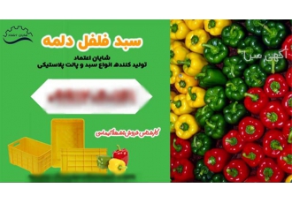 فروش سبد سورتینگ سبد گلخانه ای سبد فلفل دلمه در قزوین سبد گلخانه سبد