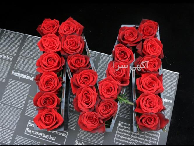 آگهی های خدمات بسته بندی - رشت
