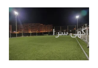 زمین چمن مصنوعی دانش تهران