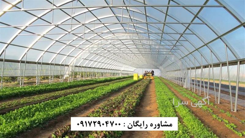 آگهی های گلخانه - میناب