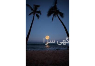 فروش آپارتمان ۹۵ متری واقع در مجتمع پارسیان کیش فروش آپارتمان در کیش