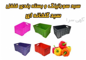 جعبه سورتینگ فلفل دلمه جعبه گلخانه سبد گلخانه در شهرضا سبد گلخانه
