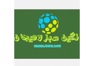 مبلشویی نگین سبز(شستشو مبل وموکت و فرش وخوشخواب) باسلام ☑️گروه مبل zwnj