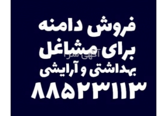 فروش دامنه برای مشاغل بهداشتی و آرایشی