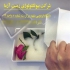 فروش سیلیکاژل مخصوص خشک کردن گل در مشهد فروش سیلیکاژل مخصوص خشک کردن گل
