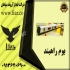 خدمات پس از فروش راهبند پارکینگی راهبند بازویی در بندرعباس شرکت فیدار