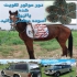 لوازم جانبی پاترول در چهاردانگه فروشگاه پرهام یدک قابل توجه مشتریانی