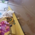 فروش بچه گربه پرشین ملوس در تهران فروش بچه گربه 6ای پرشین خاص مو بلند