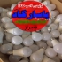عمده فروشی لامپ ال ای دی در شیراز عمده فروشی لامپ ال ای دی شیراز تولیدی