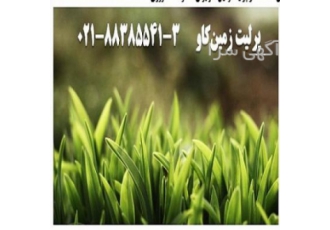 مزیت های استفاده از پرلیت زمینکاو برای مصارف کشاورزی