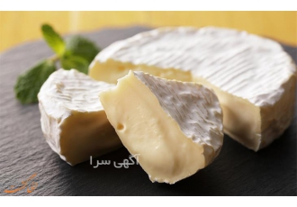 خرید و فروش استارتر پنیر سفید ایرانی در آمل کاربرد استارتر پنیر استارتر