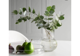 گلدان شیشه ای IKEA در تهران گلدان شیشه ای IKEA گلدان ها بدون هیچ اغراقی