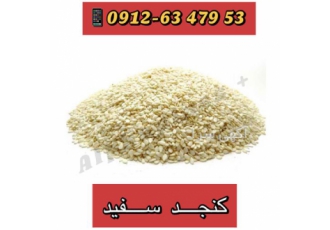قیمت کنجد هندی - قیمت کنجد روغنی ، فروش کنجد خام