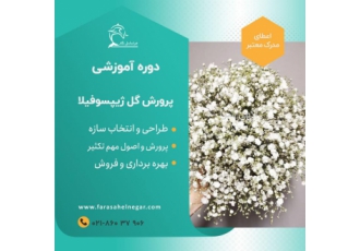 دوره آموزش تخصصی شاخه بریده گل عروس- ژیپسوفیلا