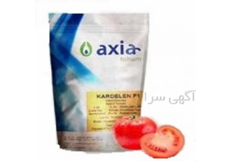 فروش بذر گوجه کاردلن به صورت عمده و خرده کشت بهاره در کرمان بذر گوجه