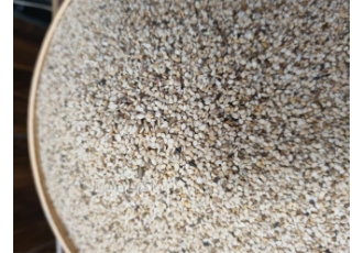 فروش کنجد سفید پاکستانی