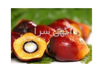 تأمین ، فروش روغن پالم و مشتقات آن