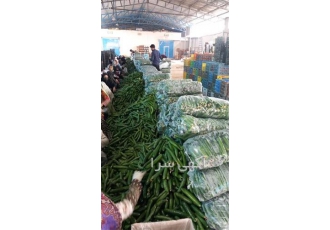 خیار گلخانه صادراتی خیار بوته ای خیار درختی در یزد با سلام خیار