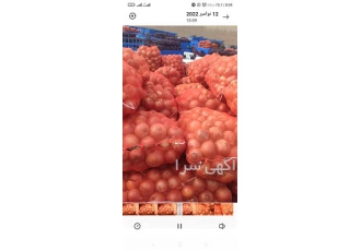 فروش پیاز قرمز و پیاز زرد تناژ بالا بدون واسطه در چابهار فروش پیاز