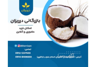فروش عمده پودر نارگیل
