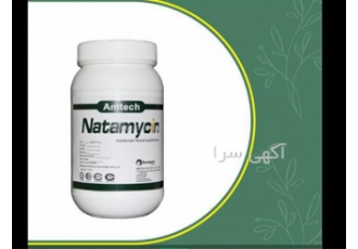 قیمت عمده نایسین _ قیمت نایسین