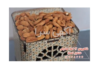 فروش خشکبار