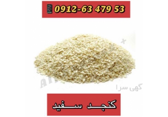 خرید دانه روغنی کنجد - واردات مستقیم کنجد