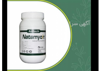 واردات نایسین وارد کننده نایسین در تهران فروش نایسین با قیمت مناسب