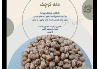 دانه کرچک به صورت عمده و جزئی