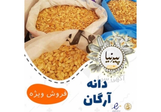 فروش مغز دانه آرگان
