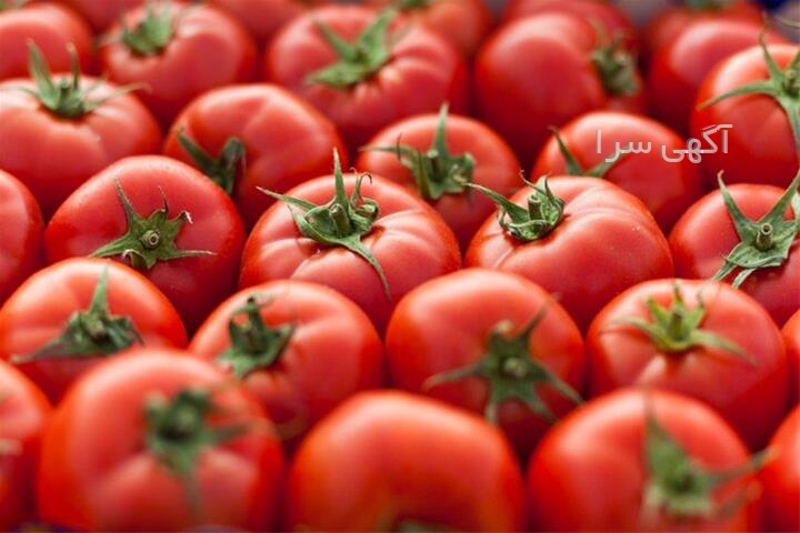 آگهی های محصولات زراعی و باغی - کرمان