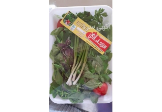 فروش عمده سبزی خوردن و گشنیز و اسفناج و شوید فروش عمده سبزی خوردن و گشنیز و اسفناج و شوید