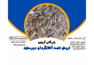 تخمه آفتابگردان دور سفید در تهران ما در زمینه واردات و تولید تخمه